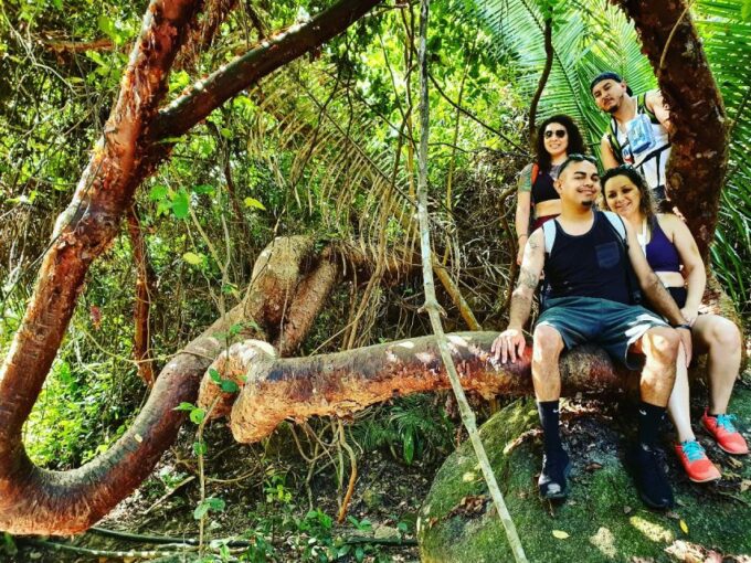 Puerto Vallarta: 4-Hour Jungle Hike and Waterfall Swim - Refreshing Swim in Lake