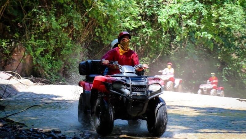 Puerto Vallarta: ATV Jungle Adventure - Breathtaking Natural Vistas