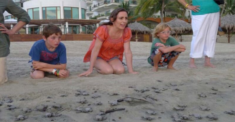 Puerto Vallarta: Baby Sea Turtle Release - Pricing and Reservation Details