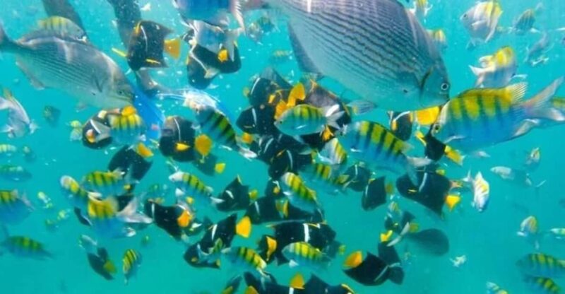 Puerto Vallarta: Beach Boy Los Arcos, Animas and Quimixto - Itinerary Details