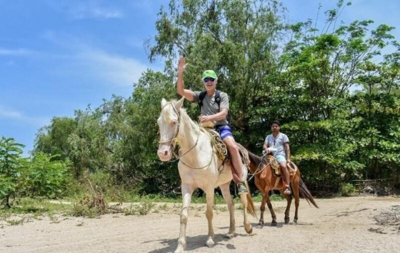 Puerto Vallarta: Beach Boy Los Arcos, Animas and Quimixto - Customer Feedback