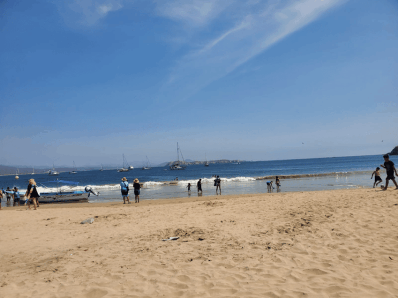 Puerto Vallarta: Beach Tour Experience - Agave Cultivation Process