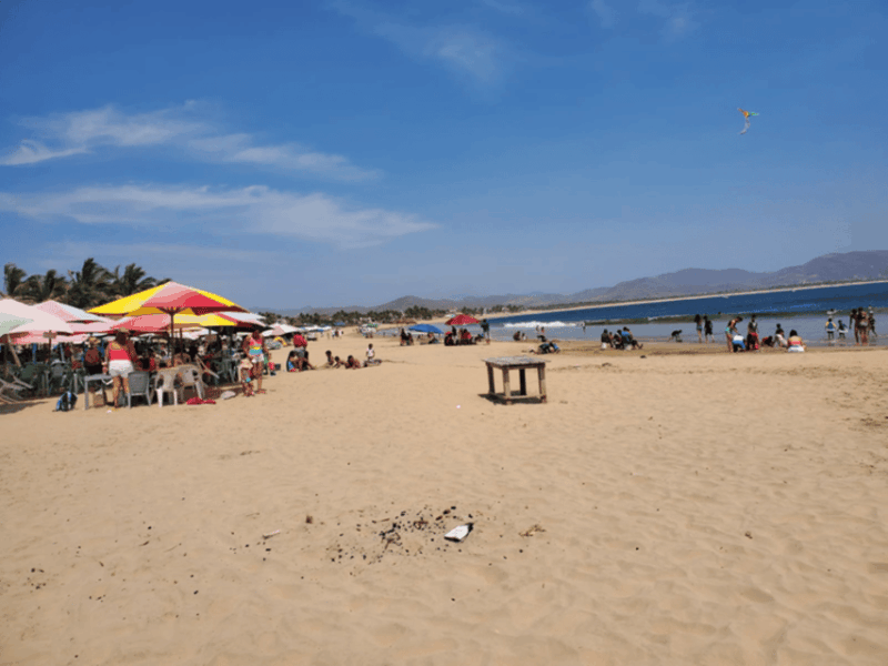 Puerto Vallarta: Beach Tour Experience - San Pancho Beach Exploration