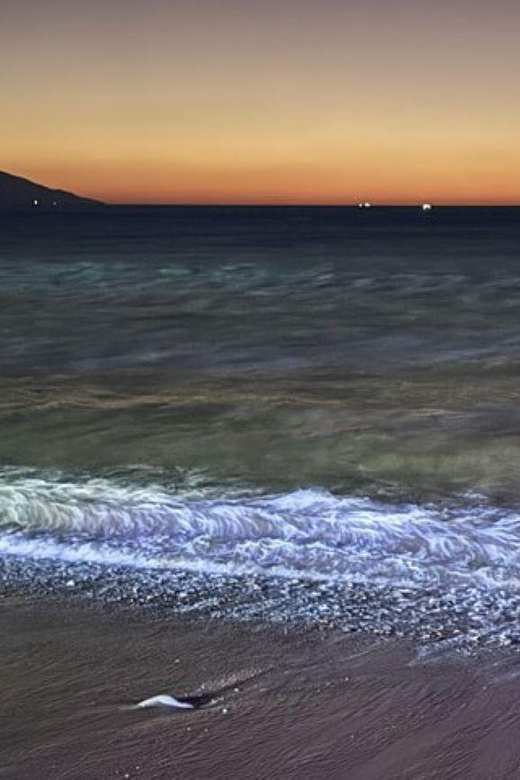 Puerto Vallarta: Beach Trip With Zarandeado Fish Meal - Immerse in Local Culture