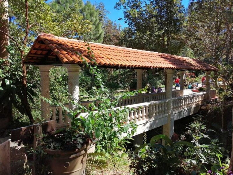 Puerto Vallarta: Botanical Gardens Tour & Culinary Adventure - Tour Activities