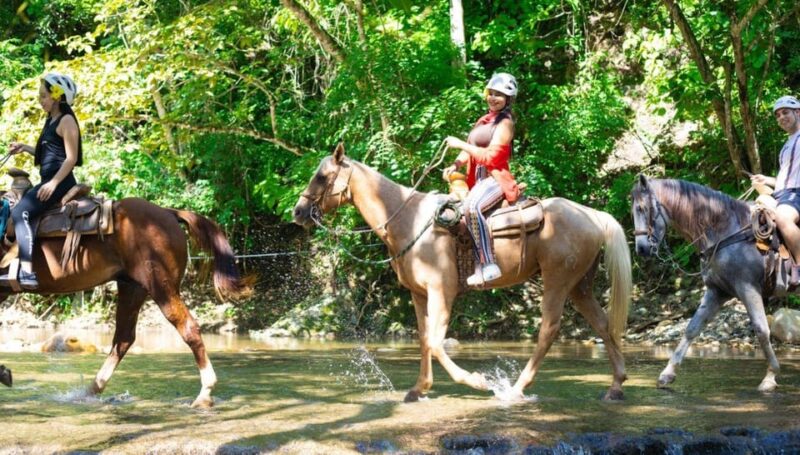 Puerto Vallarta: Canopy River, Mule Ride, Tequila Tour - Shuttle Service and Meeting Point