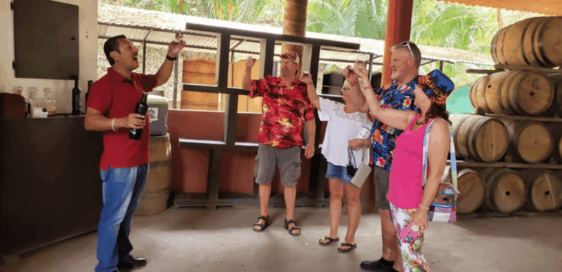 Puerto Vallarta: City Tour - Itinerary Highlights