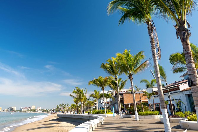 Puerto Vallarta City Tour - Traveler Feedback
