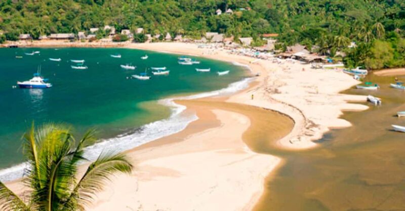 Puerto Vallarta: Discover Yelapa - Observing Marine Life