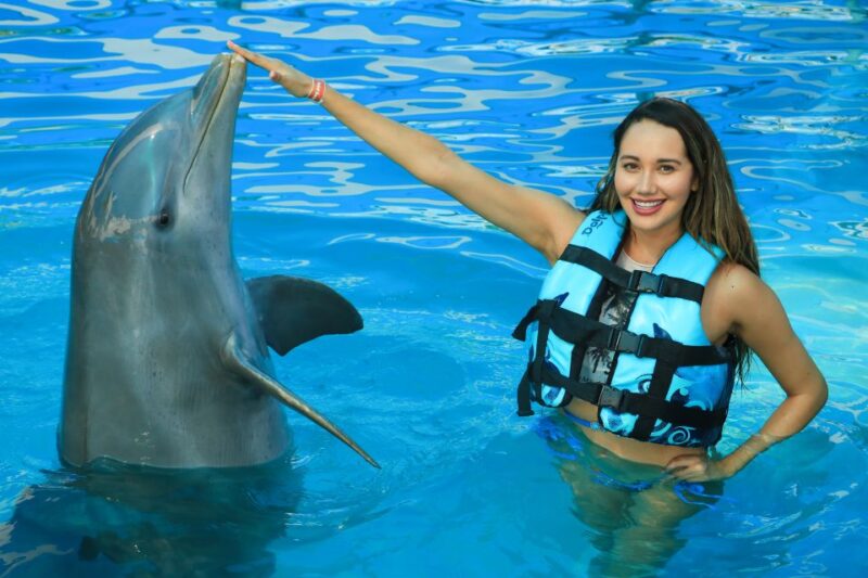 Puerto Vallarta: Dolphin Swimming and Aquaventuras Park - Key Points