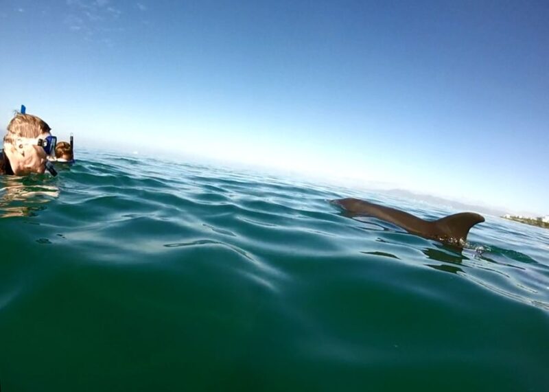 Puerto Vallarta: Dolphin Watching Cruise With a Biologist - Cancellation Policy