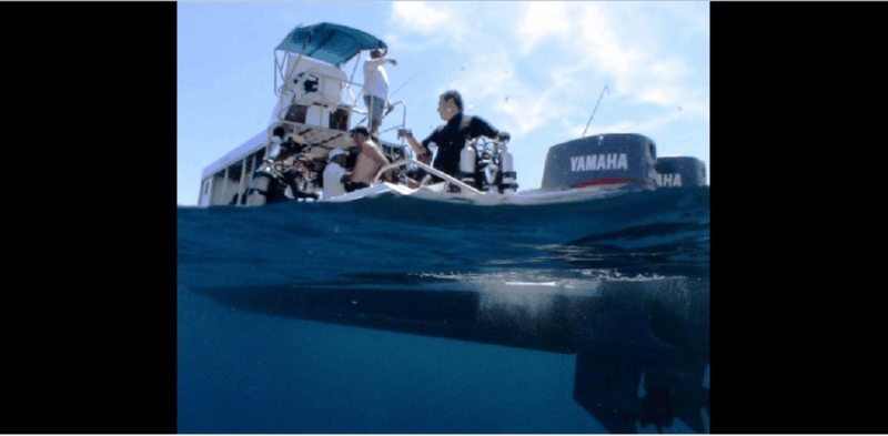 Puerto Vallarta: Exploring Majahuitas Underwater - Meeting Point and Transportation