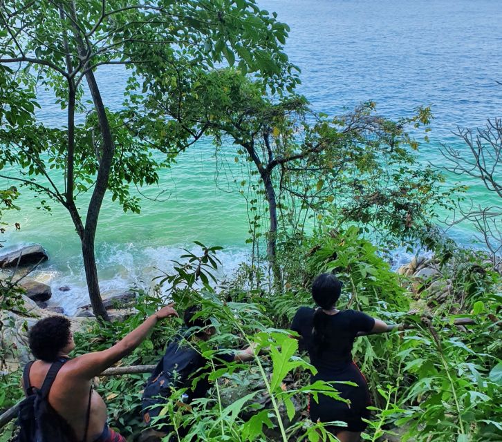 Puerto Vallarta: Full Day Hike to 6 Hidden Beaches & Snorkel - Customer Feedback and Ratings