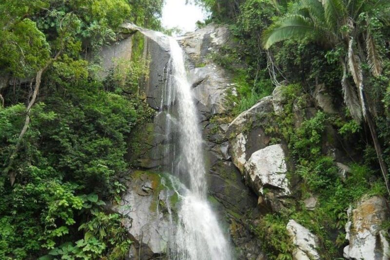 Puerto Vallarta: Full-Day Tour to Yelapa and Majahuitas - Key Points