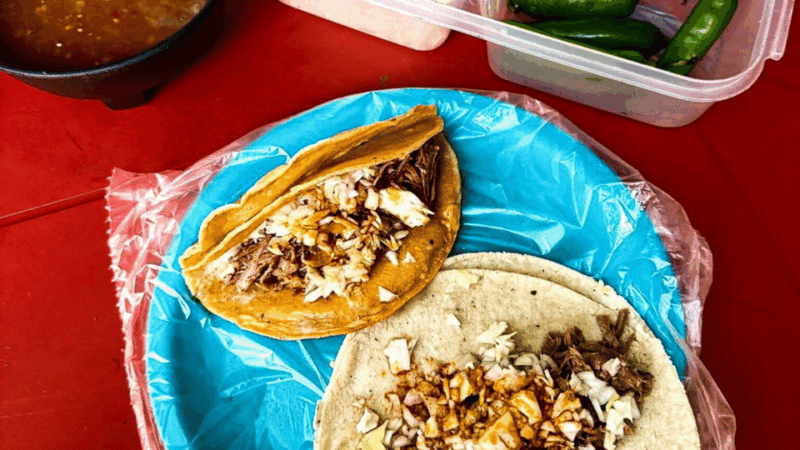 Puerto Vallarta: Half Day Taco and Ebike Tour - Key Points