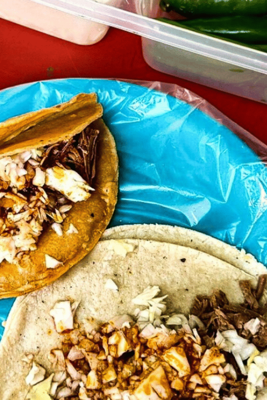 Puerto Vallarta: Half Day Taco and Ebike Tour - Preparation and Important Information