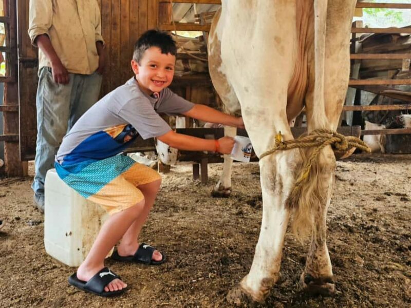 Puerto Vallarta: Hands-on Farm Experience from Cow to Cheese - Detailed Review of the Experience