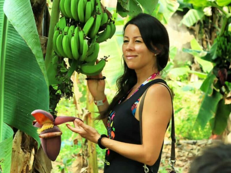 Puerto Vallarta: Hands-on Farm Experience from Cow to Cheese - Who Will Love This Tour?