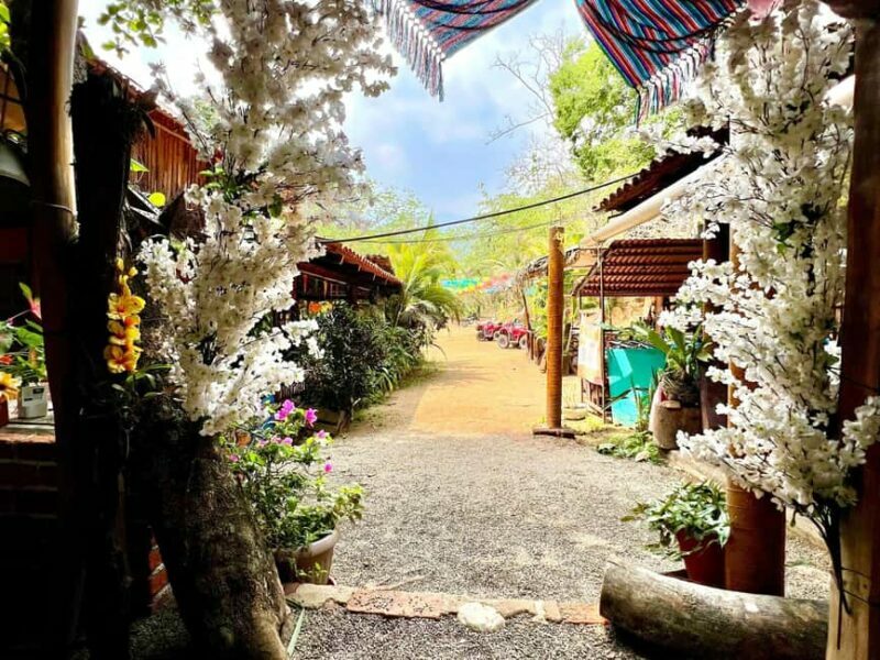 Puerto Vallarta: Hands-on Farm Experience from Cow to Cheese - FAQs