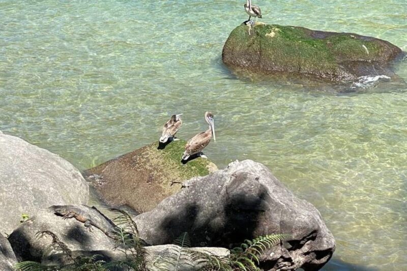 Puerto Vallarta: Hiking Adventure to Las Animas - Transportation Details