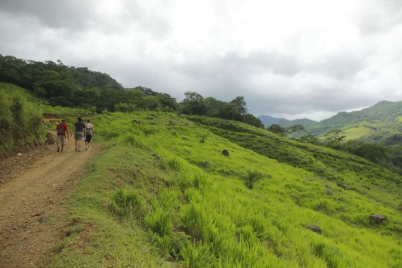Puerto Vallarta: Hiking Jorullo Point Guided Tour - Key Points