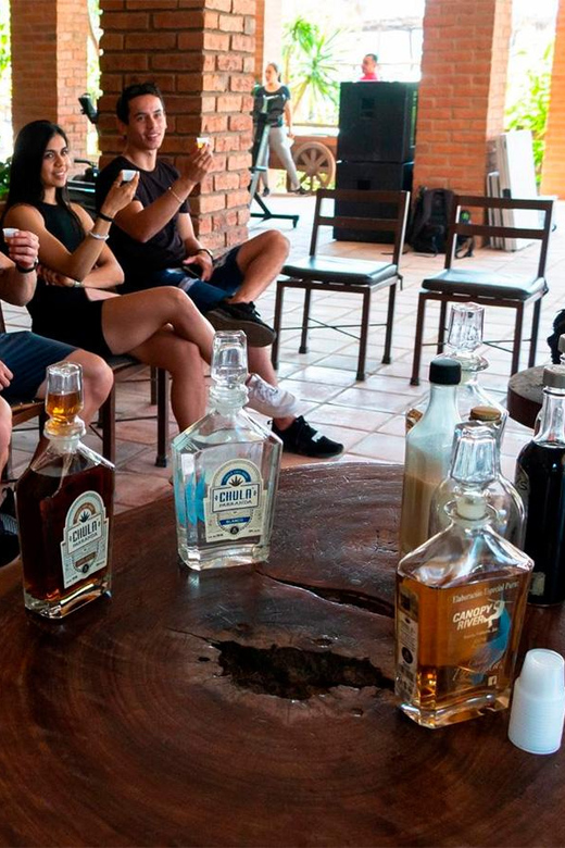 Puerto Vallarta: Horseback Riding Adventure at Canopy River - Key Points