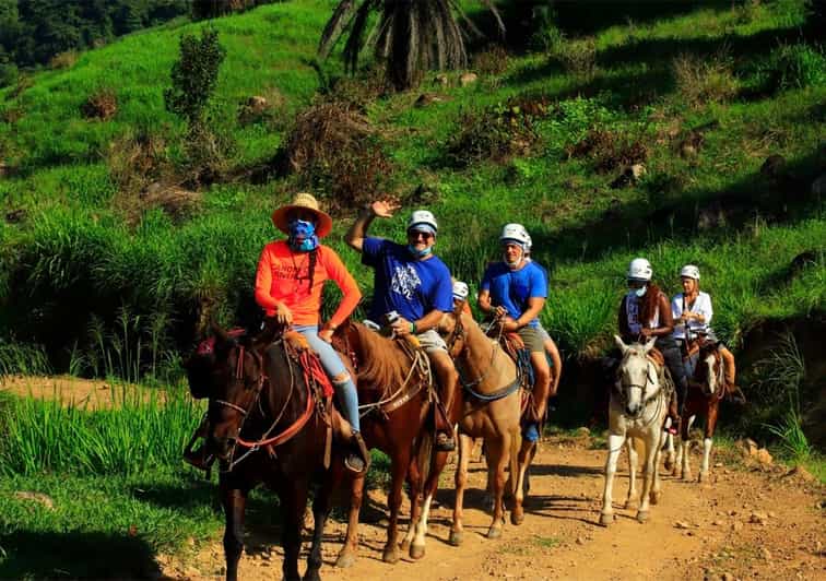 Puerto Vallarta: Horseback Riding Adventure at Canopy River - Experience Highlights