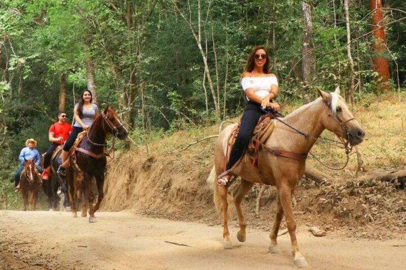 Puerto Vallarta: Horseback Riding Adventure - Key Points