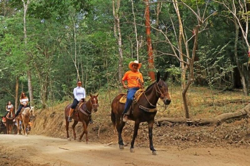 Puerto Vallarta: Horseback Riding Adventure - Experience Highlights