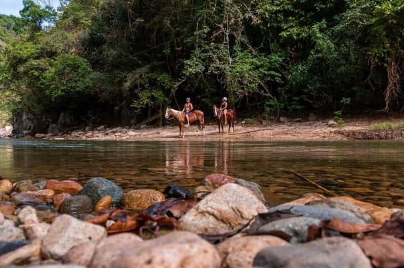 Puerto Vallarta: Horseback Riding Adventure - Tour Description