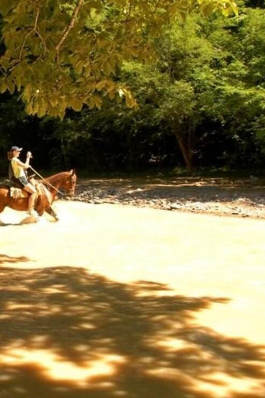 Puerto Vallarta: Horseback Riding at Hacienda Doña Engracia - Detailed Itinerary