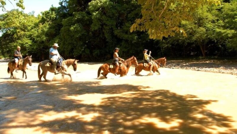 Puerto Vallarta: Horseback Riding at Hacienda Doña Engracia - Meeting Point and Directions