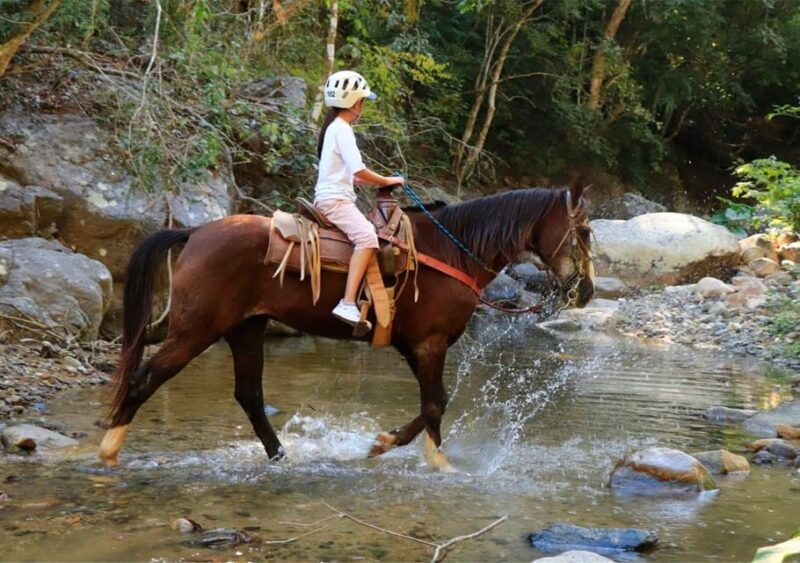 Puerto Vallarta: Horseback Riding + Jorullo Bridge Pass - Guided Tour Details