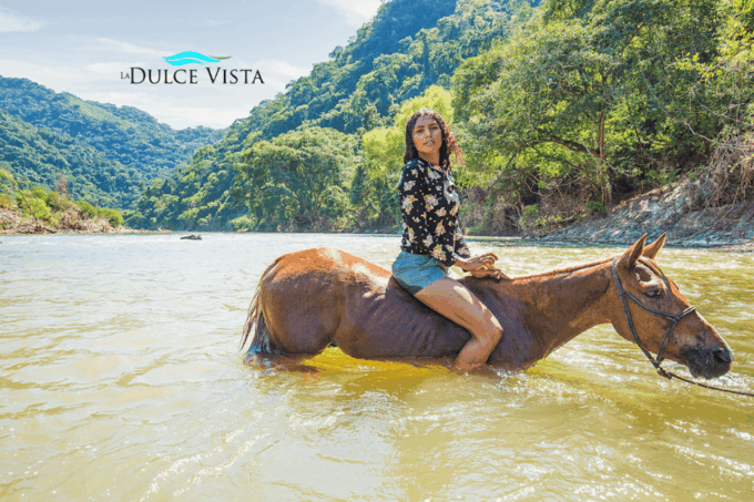Puerto Vallarta: Horseback Riding, Lunch + Unlimited Drinks - Meeting Point