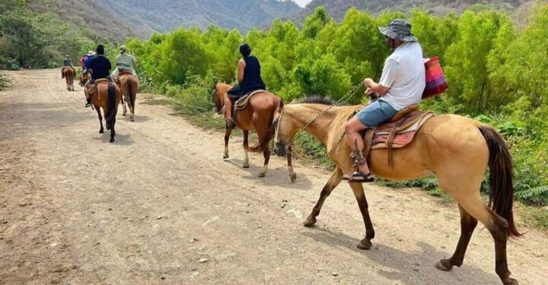 Puerto Vallarta: Horseback Riding, Tequila Tasting, Mex BBQ - Key Points