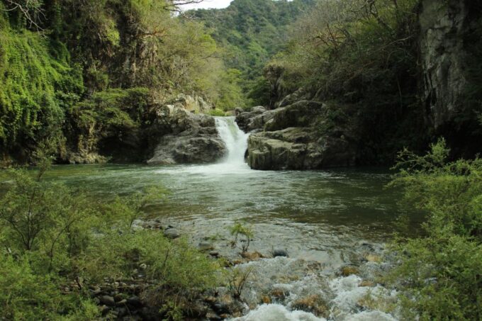 Puerto Vallarta: Jorullo Bridge, RZR Ride, and Zipline Tour - Extreme Activities in Vallarta Jungle