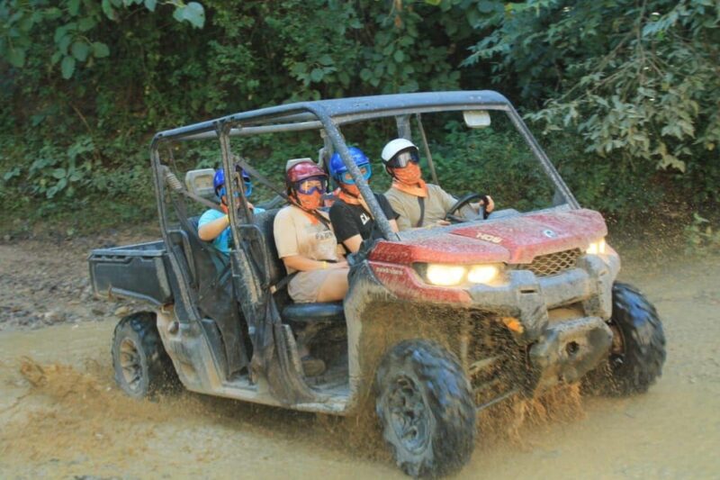 Puerto Vallarta: Jungle Buggy Adventure - Experience Highlights
