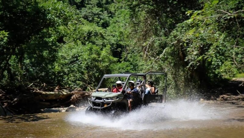 Puerto Vallarta: Jungle Side by Side Adventure - Experience and Highlights