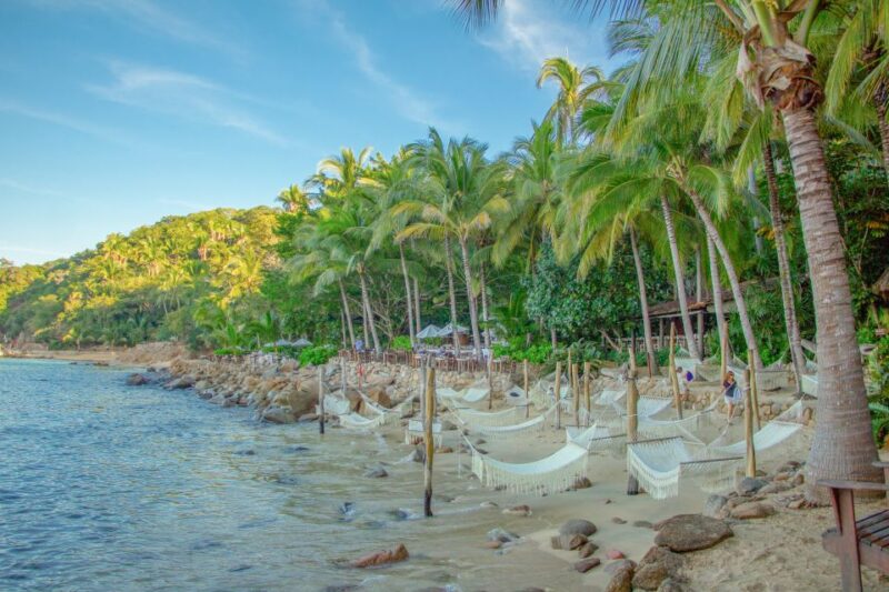 Puerto Vallarta: Las Caletas Beach Hideaway Experience - Location and Accessibility