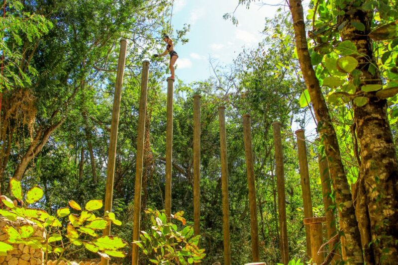 Puerto Vallarta: Las Caletas Beach Hideaway Experience - Nature Exploration