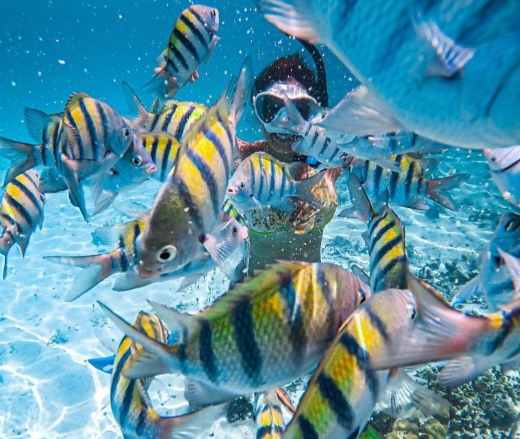 Puerto Vallarta: Los Arcos Islands Boat Tour and Snorkeling - Itinerary Details