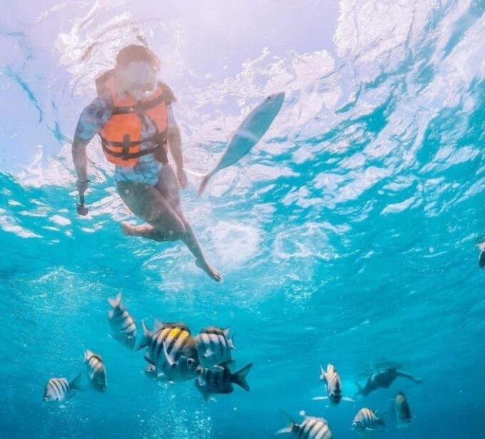 Puerto Vallarta: Los Arcos Islands Boat Tour and Snorkeling - What to Expect Underwater