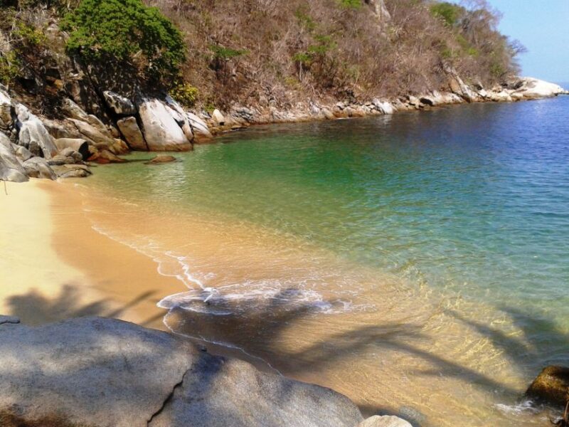 Puerto Vallarta: Los Arcos Islets Private Snorkeling Tour - Key Points