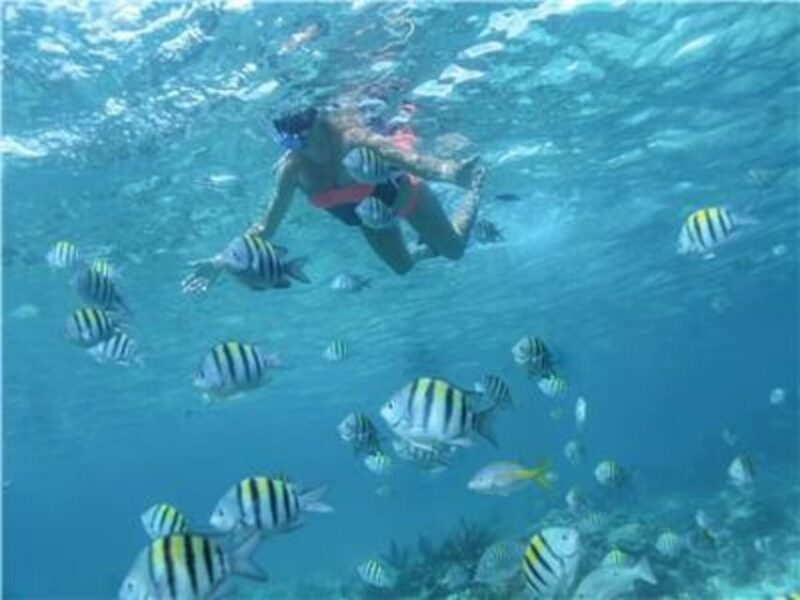 Puerto Vallarta: Luxury Yacht & Snorkel Tour - Marine Life Encounters