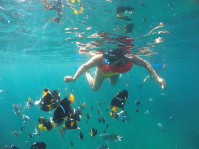 Puerto Vallarta: Luxury Yacht Tour With Lunch and Open Bar - What to Bring and Not Allowed