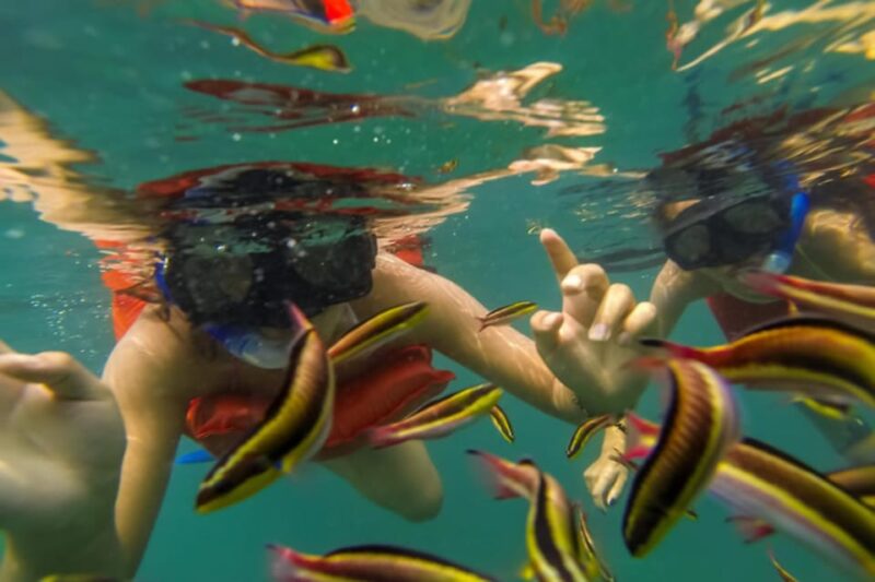 Puerto Vallarta: Marietas Islands Snorkel Cruise With Drinks - Cancellation and Reservation
