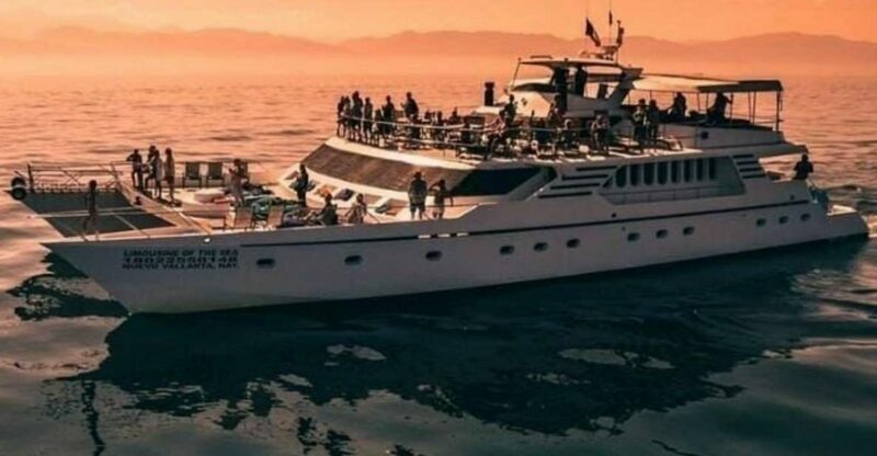Puerto Vallarta: Mega Yacht Whale Watching Sunset Cruise - Who Is This Tour Best For?