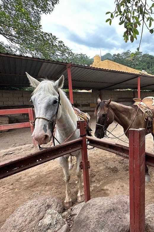 Puerto Vallarta: Mountain Waterfall Horseback Riding Tour - Key Points