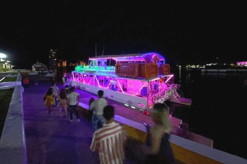 Puerto Vallarta: Neon Boat Party With DJ and Open Bar - Scenic Attractions