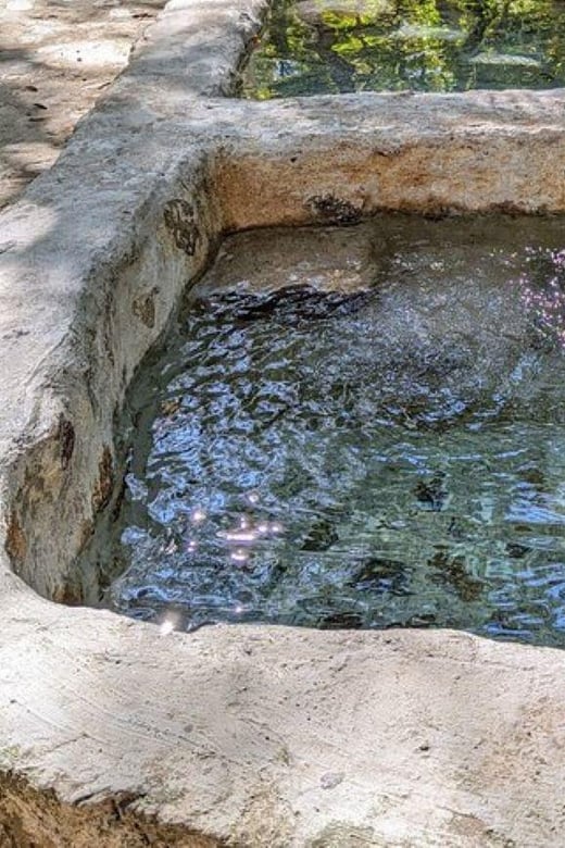 Puerto Vallarta: Nuevo Ixtlan Hot Springs Tour With BBQ - Culinary Delight